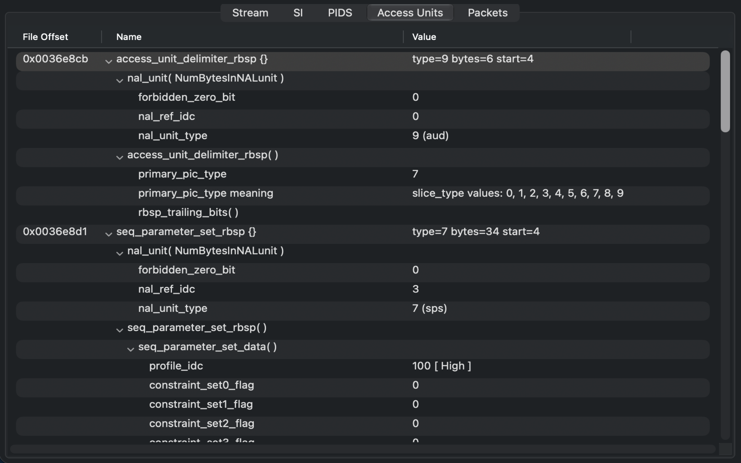 Access Units syntax tree showing codec fields.